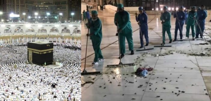 Arabie-Saoudite : Des Milliers De Cafards Envahissent La Mecque (Vidéo)