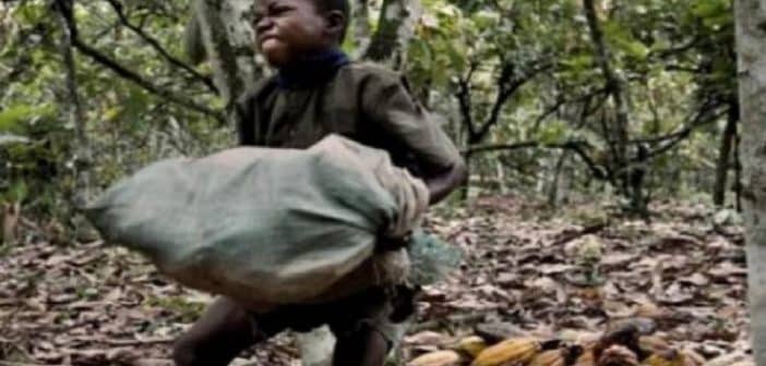 Côte d’Ivoire: Un film (censuré) sur la traite des enfants dans le cacao met à mal le pouvoir