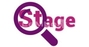 Stage Pre-Emploi Catégorie Manager Junoir (H/F)