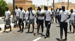 Can 2019: 06 Photos – Can 2019 –Sénégal Vs Algérie : La Promenade Matinale Des Lions