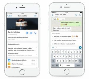 Whatsapp Business Est Maintenant Disponible Sur Iphone,Ios