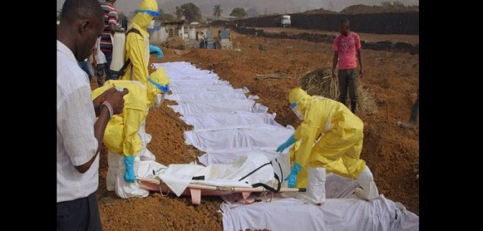 Épidémie d’Ebola: l’Organisation Mondiale de la Santé sonne l’alarme mondiale