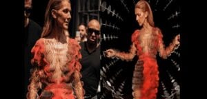 Céline Dion De Plus En Plus Méconnaissable : Ses Fans Sont Inquiets (Photos)