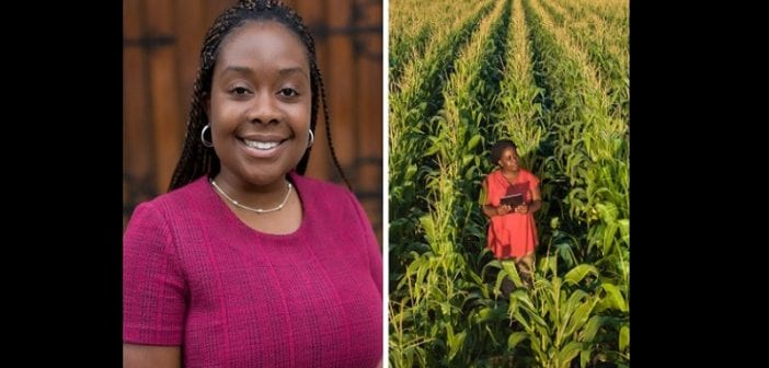 Zimbabwe: Une entrepreneure utilise la technologie pour lutter contre la pénurie alimentaire