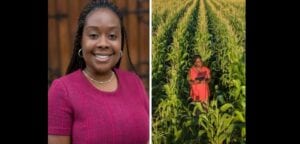 Zimbabwe: Une Entrepreneure Utilise La Technologie Pour Lutter Contre La Pénurie Alimentaire