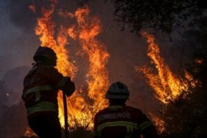 Polémique: Le Record De Feux De Forêt En Afrique Centrale Beaucoup Plus Élevé Qu&Rsquo;En Amazonie !