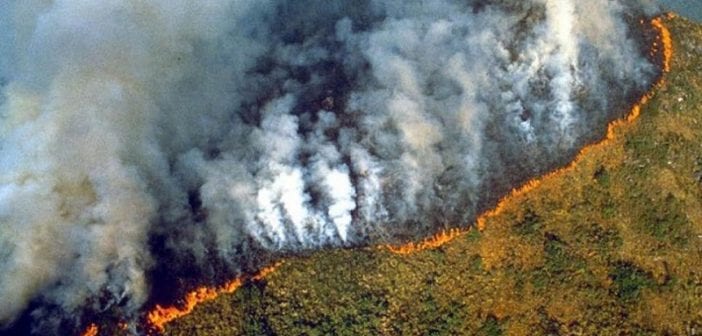 Brésil: Les feux dans la forêt amazonienne provoquent un émoi mondial