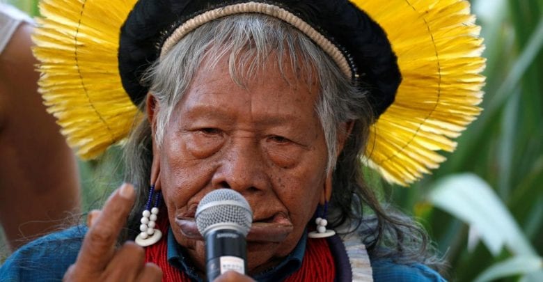Feux En Amazonie, Le Message , Chef Indien Raoni , Communauté Internationale