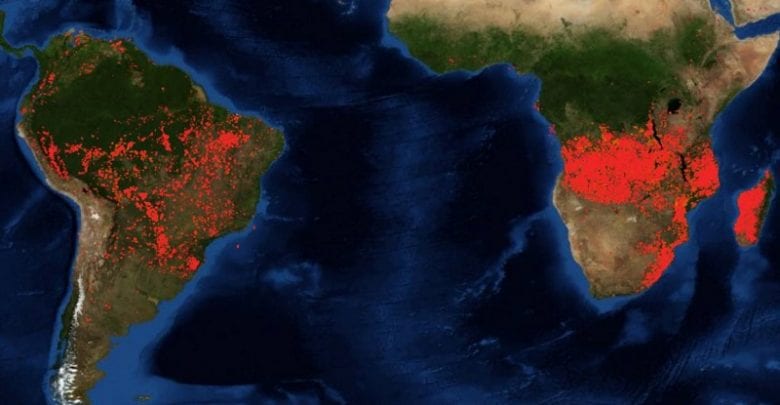 Les Forêts Brûlent Bien Plus En Afrique Qu’en Amazonie