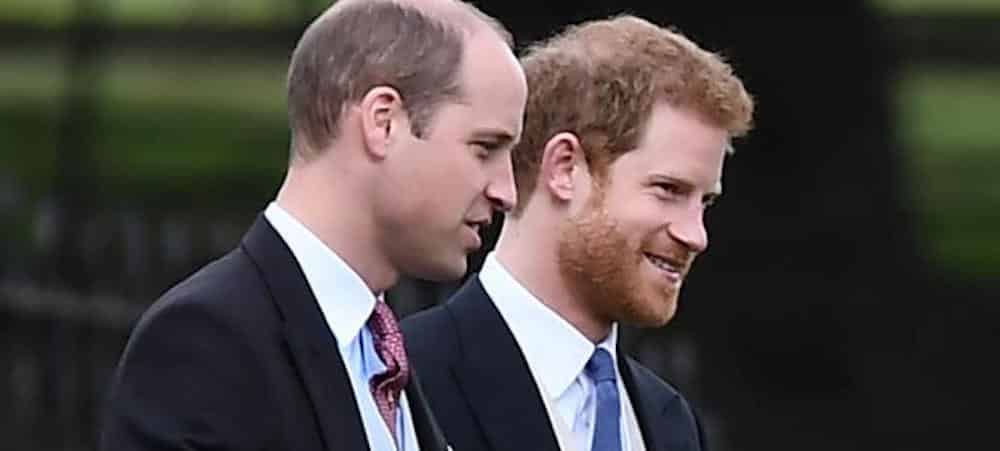 Prince William Et Prince Harry Leur Bel Hommage À Lady Diana Big