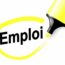 IRC recrute 01 Assistant Education