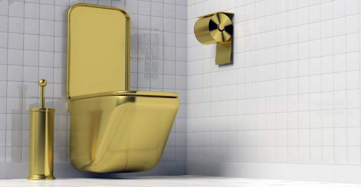 Des Toilettes En Or D’une Valeur De Plus De 1,6M$ Ont Été Volées