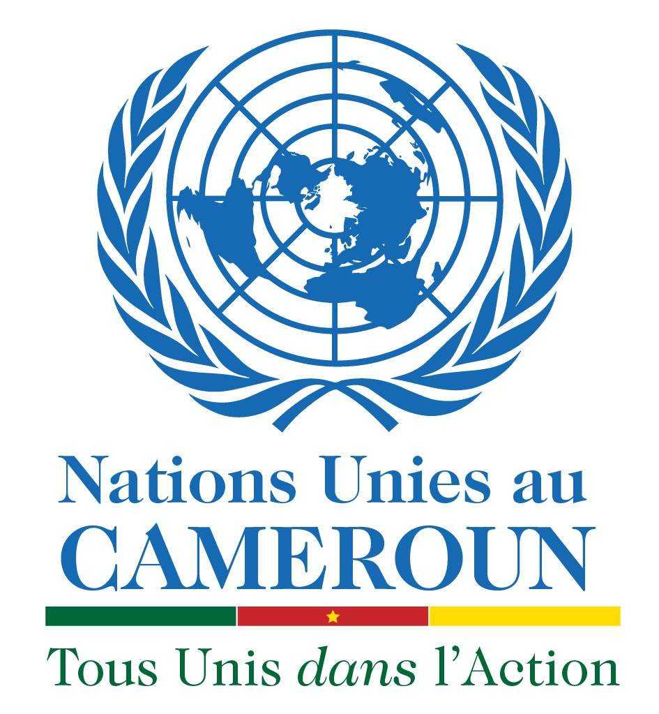 Nation Unies au Cameroun logo - AVIS DE RECRUTEMENT: PLUSIEURS POSTES VACANTS A L'AGENCE DES NATIONS UNIES AU CAMEROUN