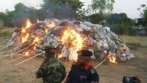 Guinée-Bissau: Deux Tonnes De Cocaïne  Brûlées  Par La Police