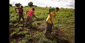 Les Agriculteurs Sont Sexuellement Plus Actifs Que Les Autres Corps De Métier- Etude !