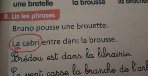 Question Africaine 17 : Fautes Dans Les Manuelles Scolaires En Cote D’ivoire : Entre Responsabilité, Culpabilité Et Sabotage, Sacrifie-T-On L’avenir Des Enfants Au Nom D’une Bataille Macabre ?