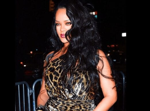 Rihanna : Panthère Sensuelle En Robe Décolletée Pour Lancer Son Nouveau Livre