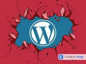 Wordpress : Comment Résoudre Les 6 Principaux Bugs ?