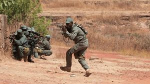 Mali : Une Cinquantaine De Terroristes Tués Et Une Trentaine Blessés