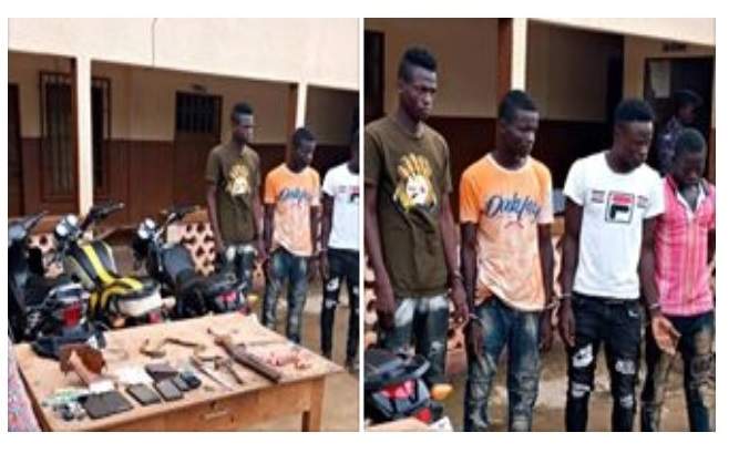braqueurs - Une bande de braqueurs arrêtés à Cinkassé: Togo