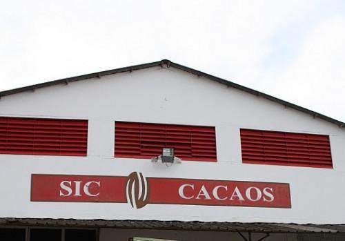 Siscacao