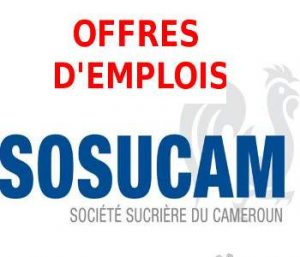 Recherche D&Rsquo;Ouvriers De Production A Sosucam Minimum Bepc