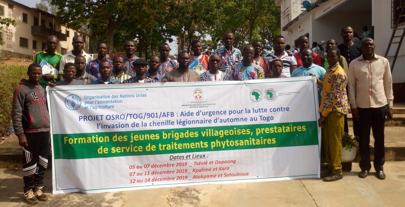 Formation De Jeunes Brigades Villageoises Prestataires De Service De Traitements Phytosanitaires