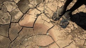 Comment L’afrique Sera Affectée Par Le Changement Climatique