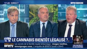 Légalisation Du Cannabis: Les Dealeurs Craignent D’être Exclus Des Affaires