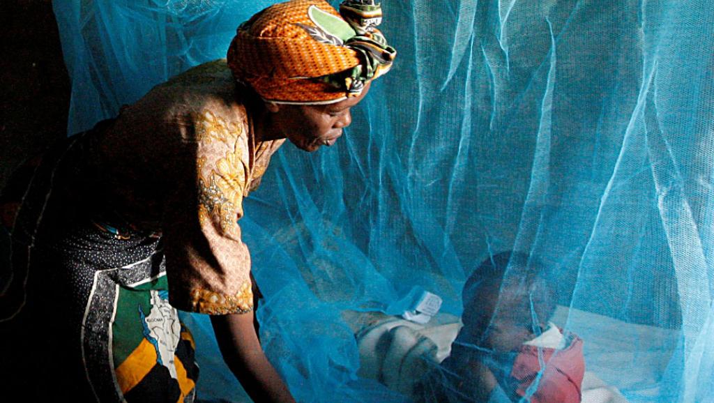 Plus De Femmes Enceintes Et D’enfants Sont Protégés Du Paludisme, Mais Les Progrès Stagnent (Oms)