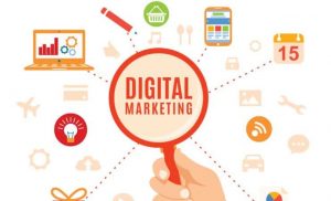 Recherche Des Collaborateurs Dans Une Agence Web Et De Marketing Digital