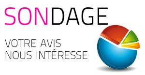 Chers Lecteurs, Participez Au Sondage De Doingbuzz.com