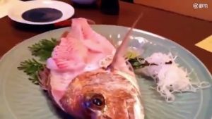 Ce Poisson Se Réveille En Plein Dîner À Moitié Mangé Et Crée La Stupeur