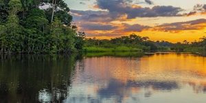 L’incroyable Histoire D’une Famille Qui A Survécu Un Mois Dans La Forêt De L’amazonie