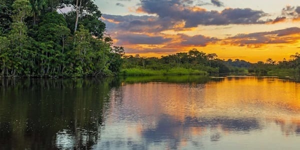 L’incroyable Histoire D’une Famille Qui A Survécu Un Mois Dans La Forêt De L’amazonie