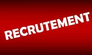 Ong Agir Plus Recrute 01 Auditeur Externe