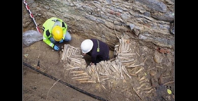 Belgique murs construits d’os humainscrânes découverts cathédrale - Belgique : des murs construits d’os humains et de crânes découverts sous une cathédrale