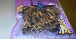 Des Douaniers Saisissent Un Sac D’oiseaux Morts À Un Passager En Provenance De Chine