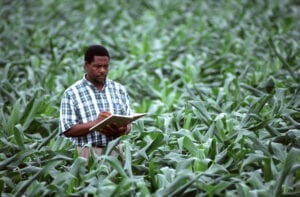 Recrutement Pour Agroeconomistes