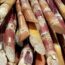 La Côte d’ivoire interdit l’importation du sucre pendant cinq ans