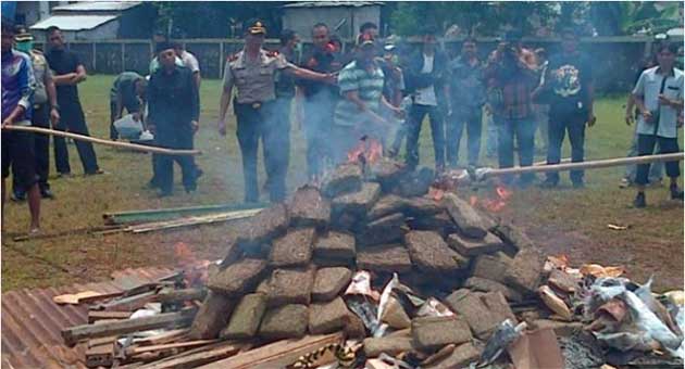 La Police Indonésienne Brûle 3 Tonnes De Cannabisville Finit Défoncée