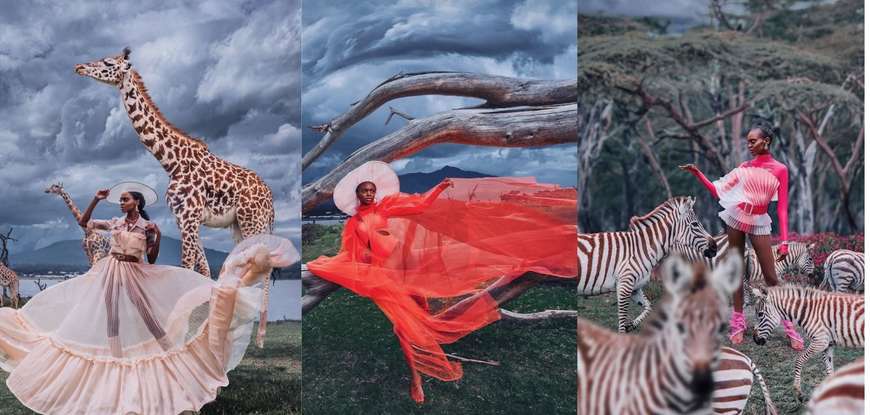 Quand Miss Univers Kenya 2019 réinvente le Safari (Photos)x