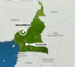 Position Geographique Ngarbuh Doingbuzz 300X270 1