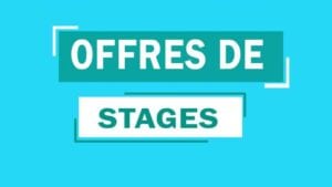 Recrutement De 80 Stagiaires De Vacances