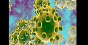 Coronavirus Au Nigeria : 28 Personnes Mises En Quarantaine