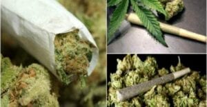 Ghana: Le Gouvernement Légalise L’usage De La Marijuana