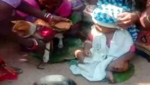 Inde: Un Enfant D’un An Marié À Un Chien Pour Un Rituel De Sa Tribu – Photo