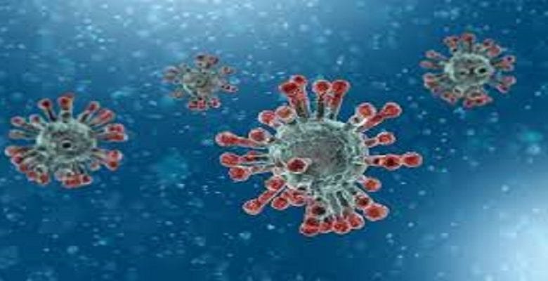 Niger: Premier Cas De Coronavirus Confirmé Dans Le Pays
