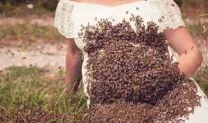 Elle A Posé Enceinte, Le Ventre Recouvert D’abeilles, Son Bébé Décède À Six Jours Du Terme