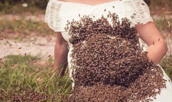Elle A Posé Enceinte, Le Ventre Recouvert D’abeilles, Son Bébé Décède À Six Jours Du Terme